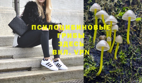 винт Аркадак